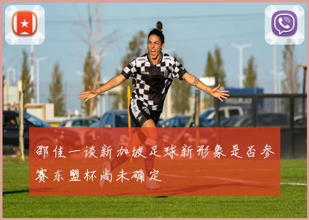 邵佳一谈新加坡足球新形象是否参赛东盟杯尚未确定